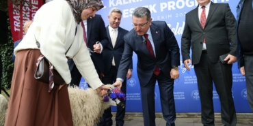 TRABZON'DA HAYVANCILIĞA DESTEK SÜRÜYOR MAÇKA İLÇESİNDE 36 YETİŞTİRİCİYE YÜZDE 90 HİBE DESTEĞİYLE 180 YERLİ KARAYAKA KOYUNU DAĞITILDI